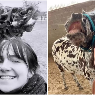 Shania et Hispano, dans l'espoir qu'ils ne soient jamais l'un sans l'autre