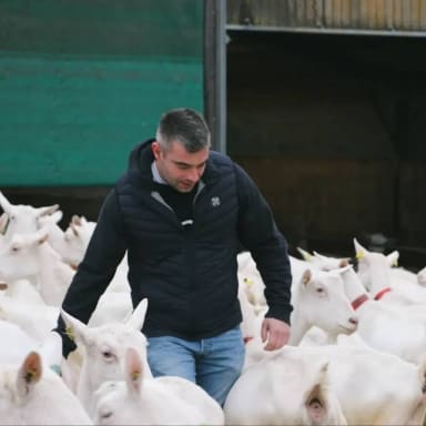 Listeria sur mes Chèvres