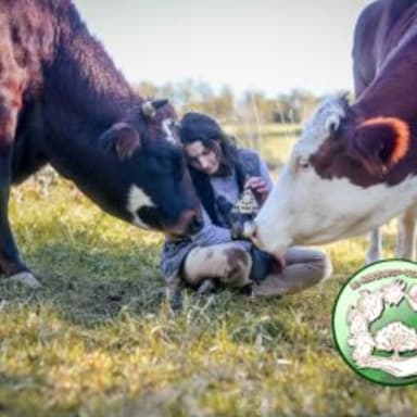 Coup de pouce pour la ferme de la Hulotte 43