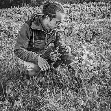 Sauvez un petit vigneron Bio et indépendant