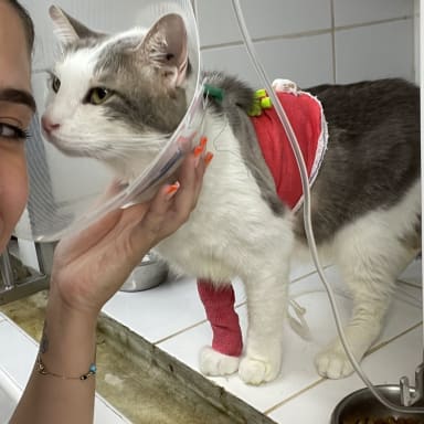Hospitalisation d’Hélios