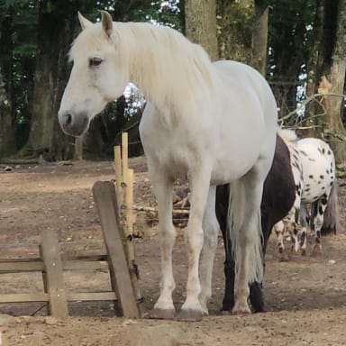 J'ai une épée de Damoclès au dessus de la tête depuis des mois... aidez moi !