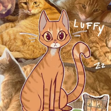 Pour Luffy