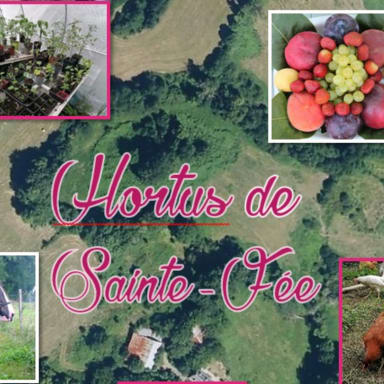 Hortus de Sainte-Fée