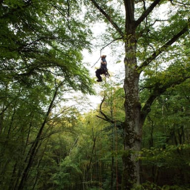 Aide à la création de mon activité d’Educateur Grimpe d’Arbre