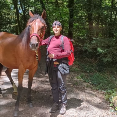 Cancer et cécité : la vitalité des chevaux pour continuer à exister