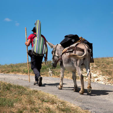 Financement du film Balad'un âne