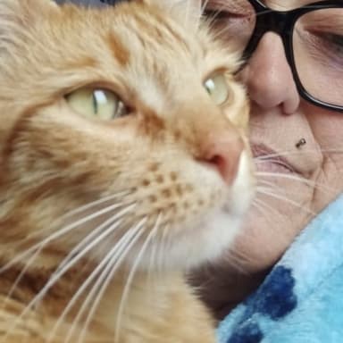 SAUVONS SIMBA❤️
