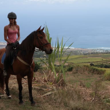 Coup dur pour NAMIBIE WEST INDIES Une CHIRURGIE DE L’ŒIL est  INDISPENSABLE