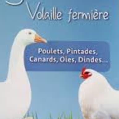 Une t'yotte cagnotte pour sauver T'yotte Volaille