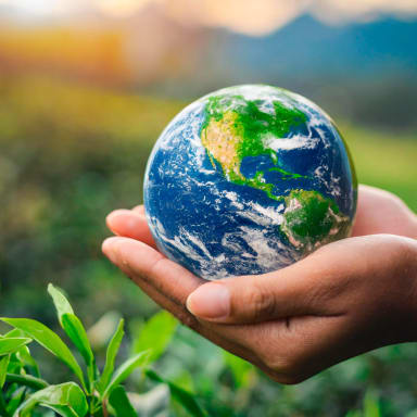 Nous soutenons  le media   Pluriel Nature sur le développement   durable
