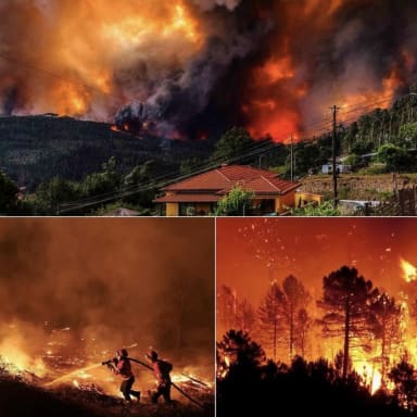 SAUVONS NOTRE NATION DES FLAMMES🇵🇹