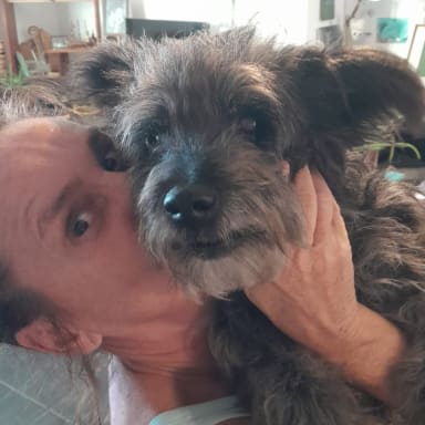 Sauvons Fenwar, mon chien