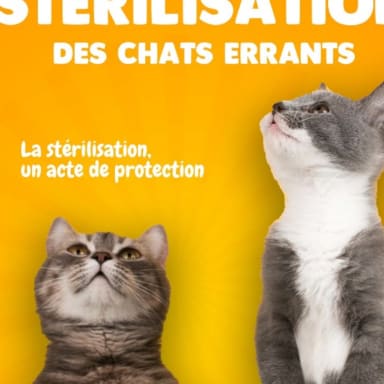 ONE VOICE - STERILISATION CHATS ERRANTS TREIGNAC/NEUTEURING STRAY CATS TREIGNAC