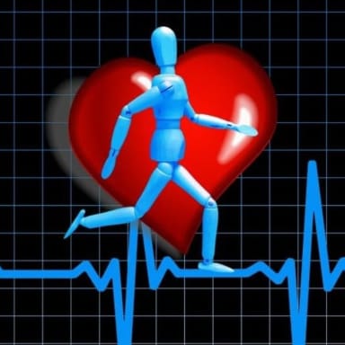 Projet Sport-santé/USA création d'une plateforme santé par le sport.