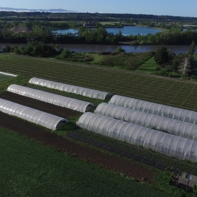 Solidarité pour reconstruire les serres des Jardins de Fred