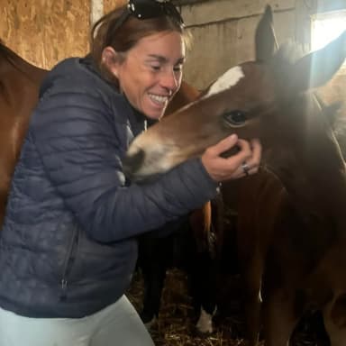 Pandémie Chevaux