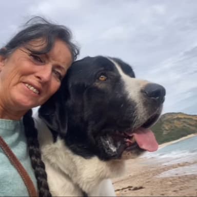 RIP 🖤 RAMALDE merveilleux chien transmontano