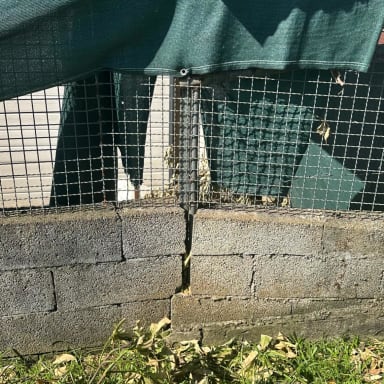 LE CYCLONE GARANCE A DETRUIT NOTRE PENSION ANIMALE