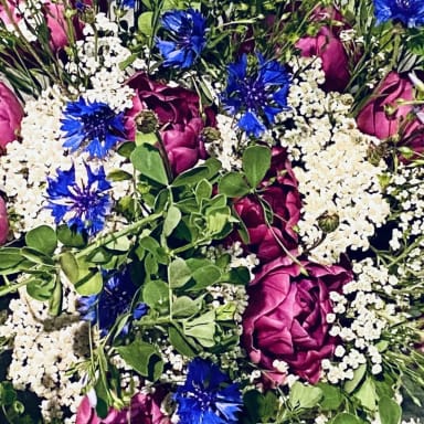 Aidez votre ferme florale canaulaise