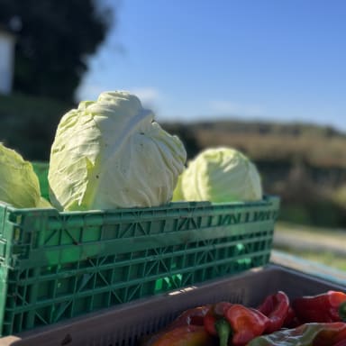 Soutenons l’Agriculture Locale