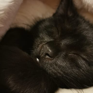 Soutenez Ja'Far, notre petit rescapé courageux !