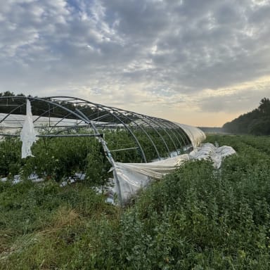Les Jardins de VYMM Lanton : Solidarité suite tempête Juin 2025