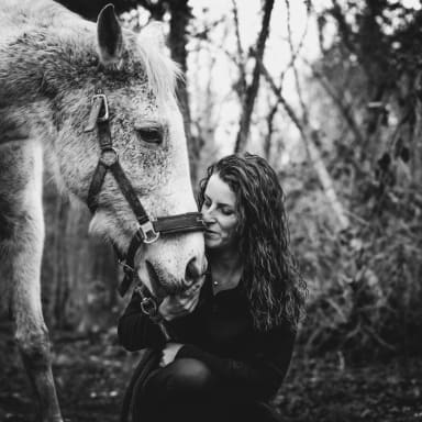 Soins Zangao 🐴