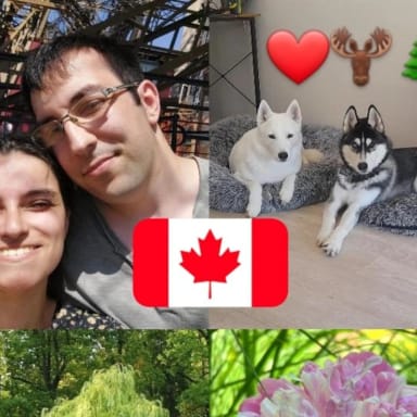 Aider nous à réaliser notre rêve : Partir au Canada avec nos 2 huskys 🐺🇨🇦