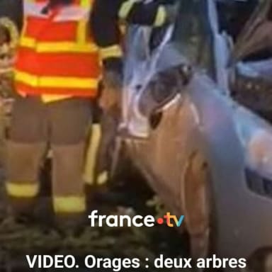 Aide à une famille écraser par des arbres du à un orage