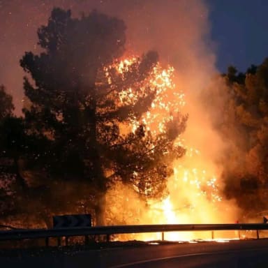 Soutien aux victimes des feux de forêt d'Ath Ja3far (J3affra BBA)