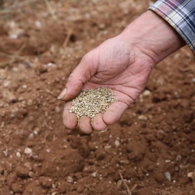 L’histoire de notre potager… et l’avenir que nous voulons préserver