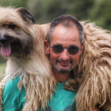 Solidarité pour Steve (accident de la route) et soutien à Stéphanie