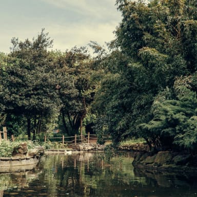 Projet d'une vie : création d'un parc animalier avec gîtes