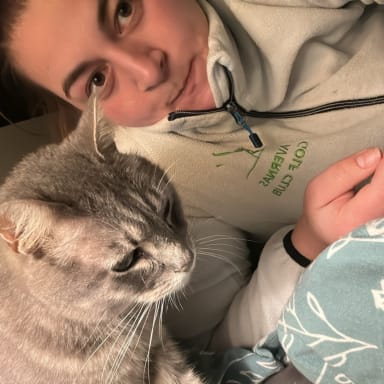 Pour Cooky et contre les chauffards qui renversent les chats