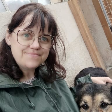 Sauver ma pension canine