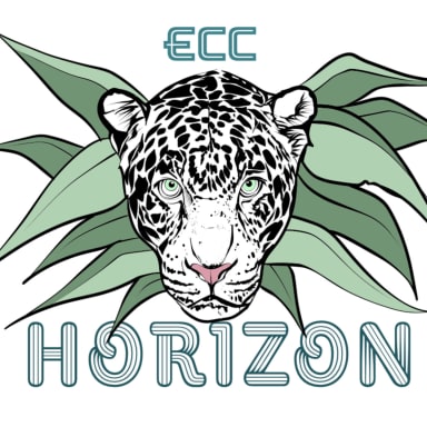 Ecc_horizon