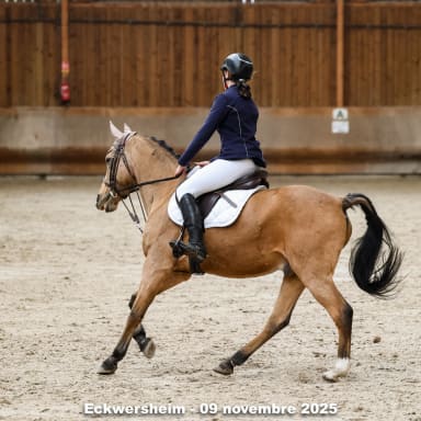 Aide pour Amalia 14 ans afin d'aller aux championnats de France 2026