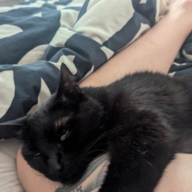 Oggy est hospitalisé