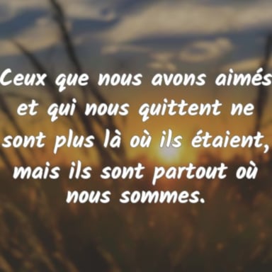 Toutes nos pensées vont vers vous