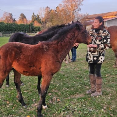 PETIT PICKY, POULAIN HANDICAPÉ