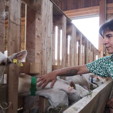 Sauvons la Ferme Saint-Isidore : Pour des Produits Locaux et un Avenir Paysan