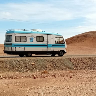 Le vieux coucou en galère