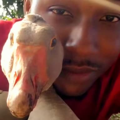 Soutenir une ferme vivante, pédagogique et indépendante en Martinique