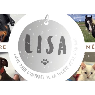 Ensemble on va plus loin, ensemble offrons-leur un lendemain 🐾🐕🐈❤️