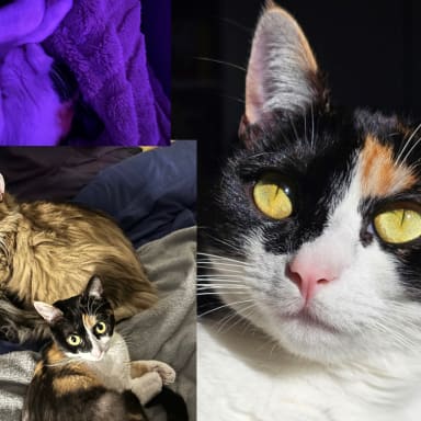 Aidez Sora à retrouver son souffle