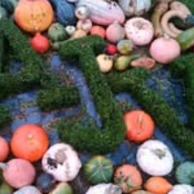 Collecte participative pour renouveler le matériel de jardinage volé