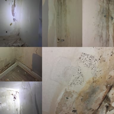 Urgence : une maison sous la pluie