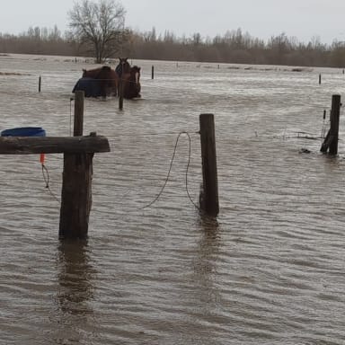 Inondation les Ecuries de Réau