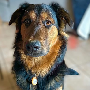 SOS Pour Aïko